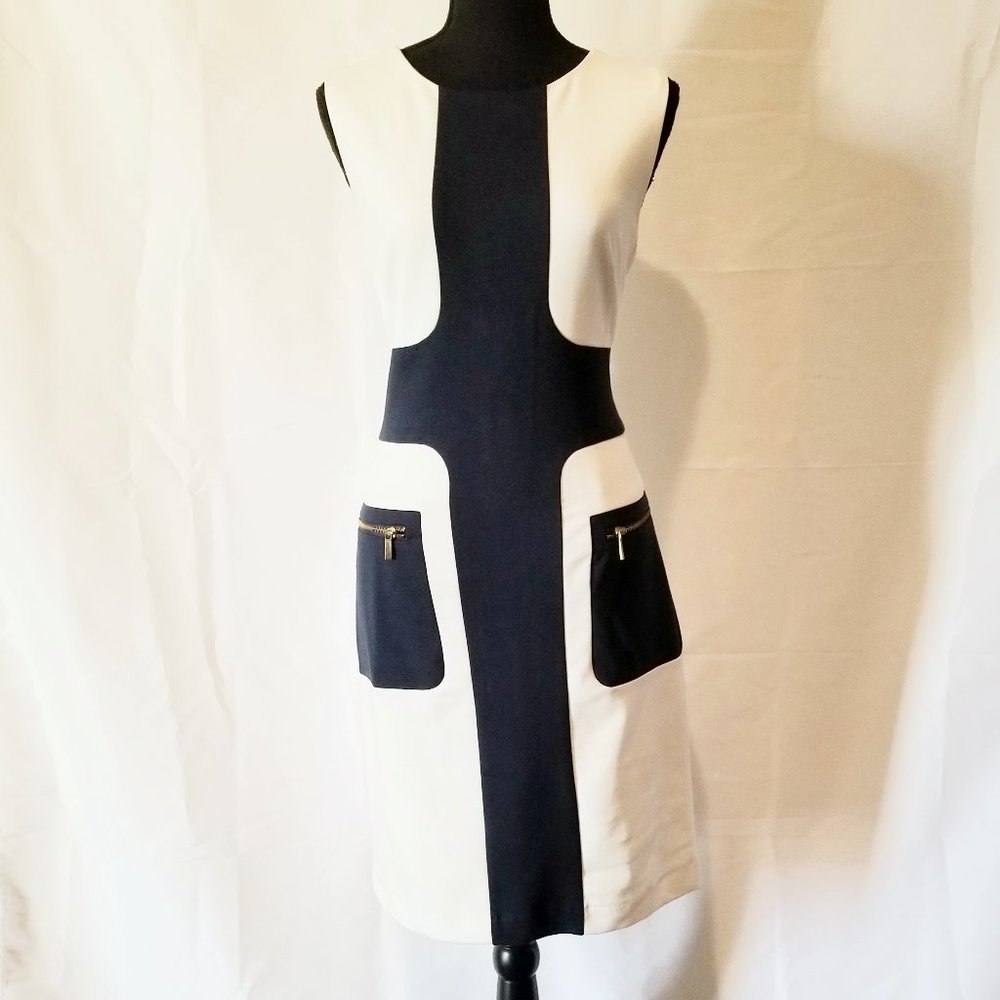 Navy Blue & White Sheath Dress